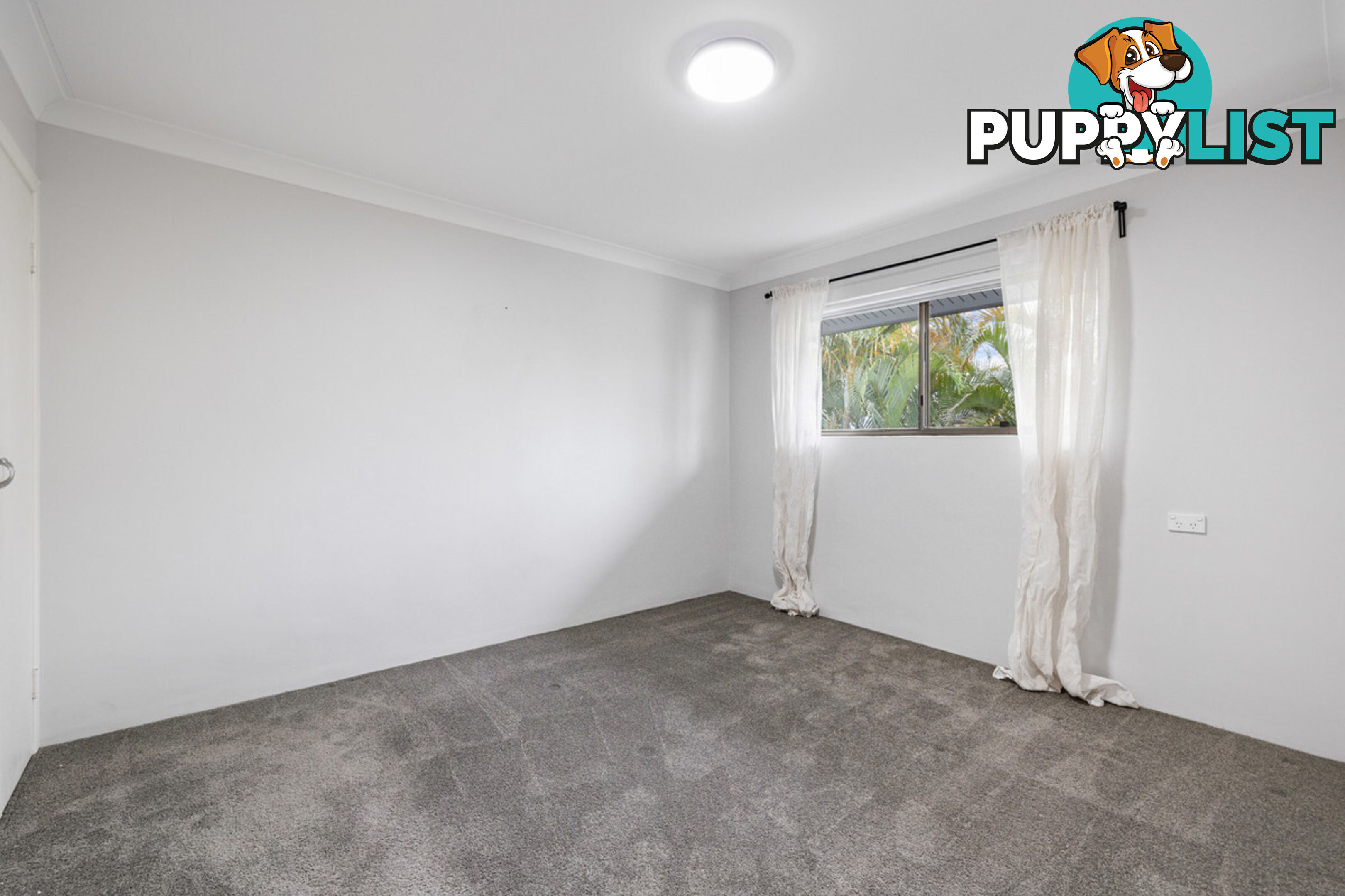 2/1 Cooloon Place ALGESTER QLD 4115