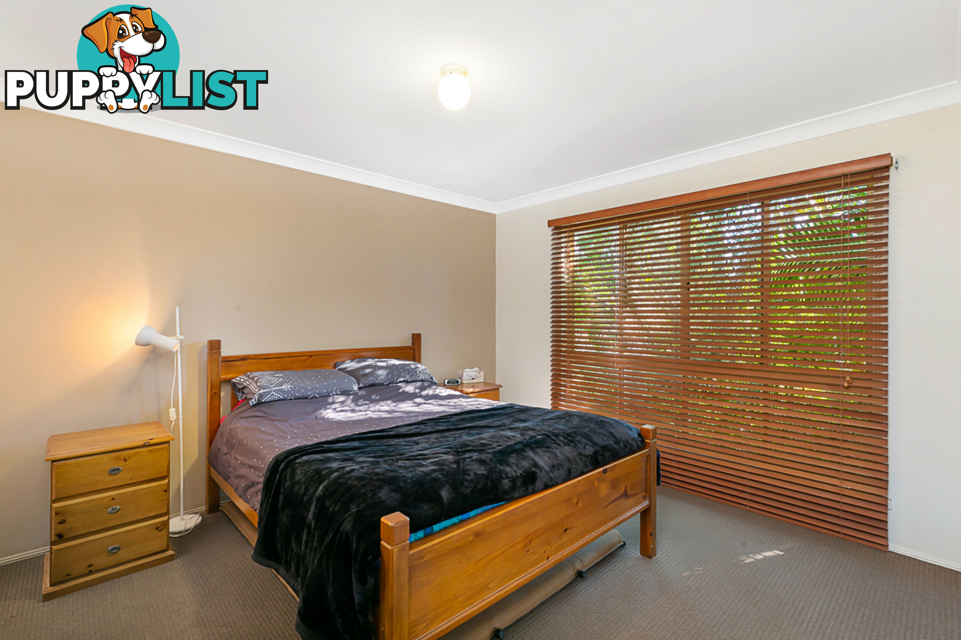 22 Spruce Avenue VICTORIA POINT QLD 4165