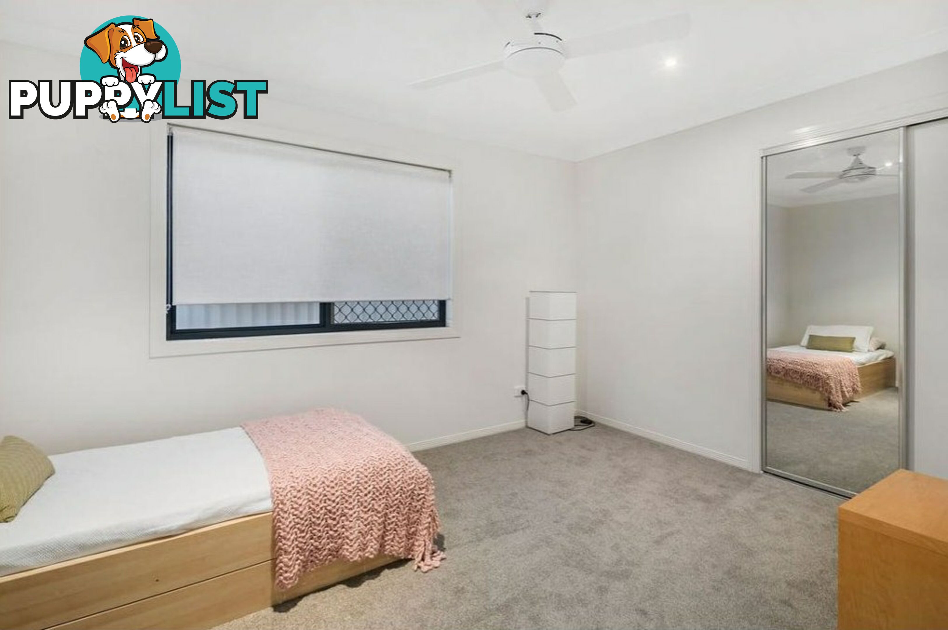 2 Poseidon Street CLEVELAND QLD 4163