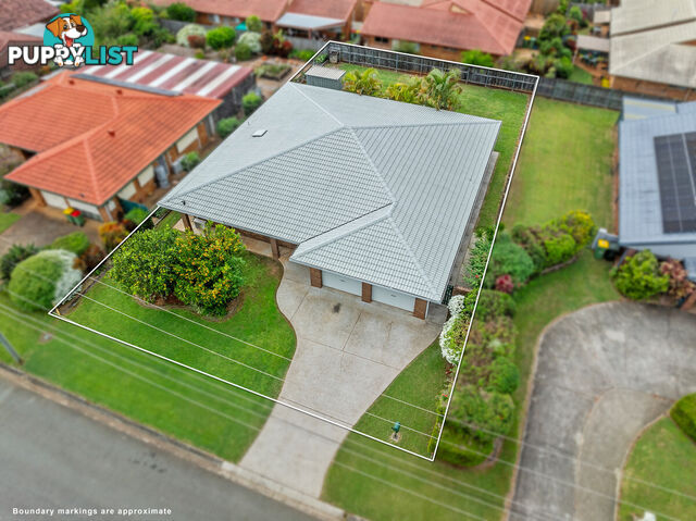 6 Lexlen Court CLEVELAND QLD 4163