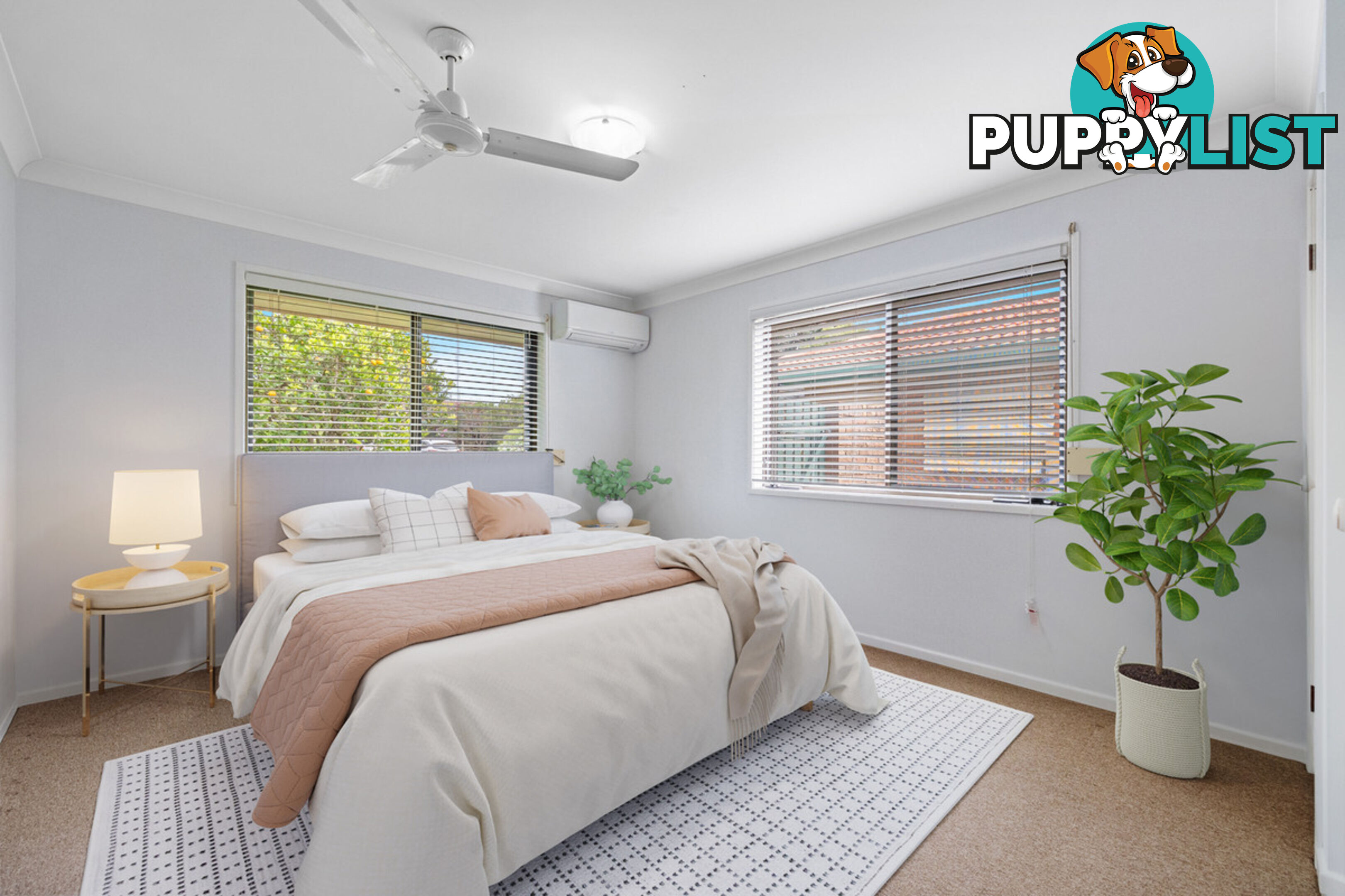 6 Lexlen Court CLEVELAND QLD 4163