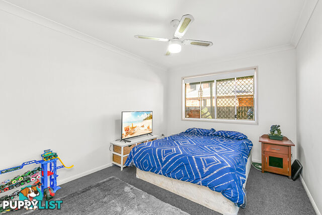 33 Seagull Street VICTORIA POINT QLD 4165