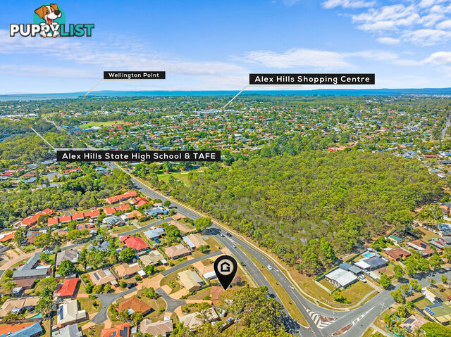 3/53 Windemere Road ALEXANDRA HILLS QLD 4161