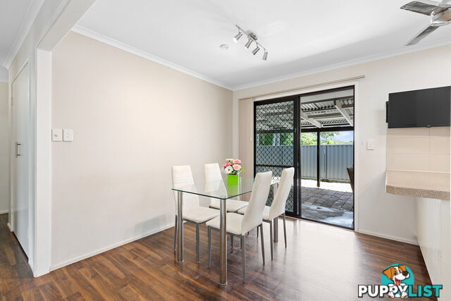 17 Marina Street ALEXANDRA HILLS QLD 4161