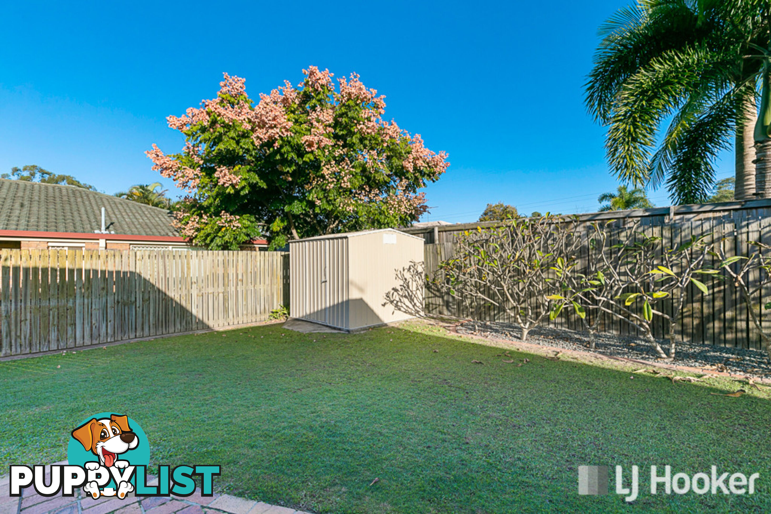 6 Ivana Court CAPALABA QLD 4157