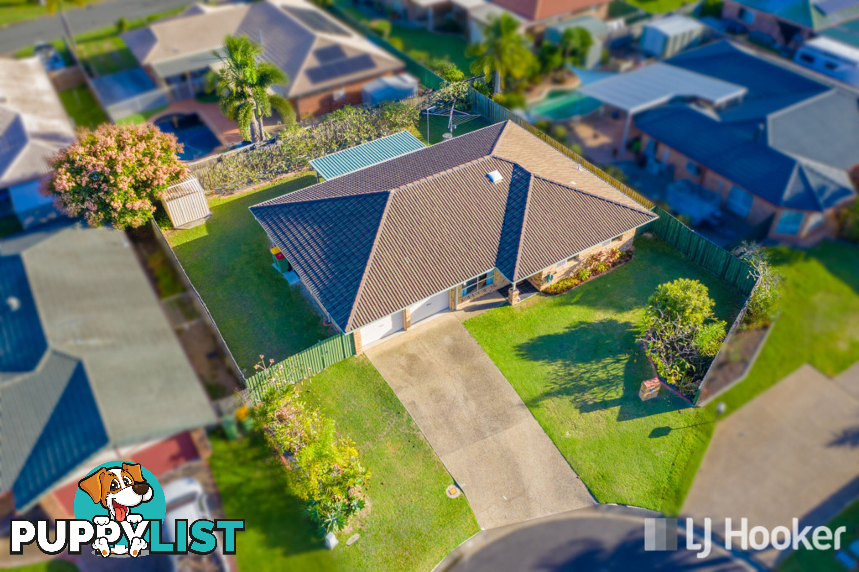 6 Ivana Court CAPALABA QLD 4157