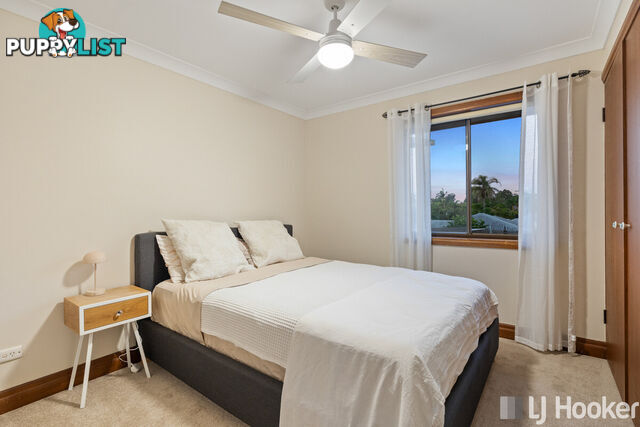 127 Fitzroy Street CLEVELAND QLD 4163