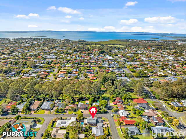 30 Dell Street CLEVELAND QLD 4163