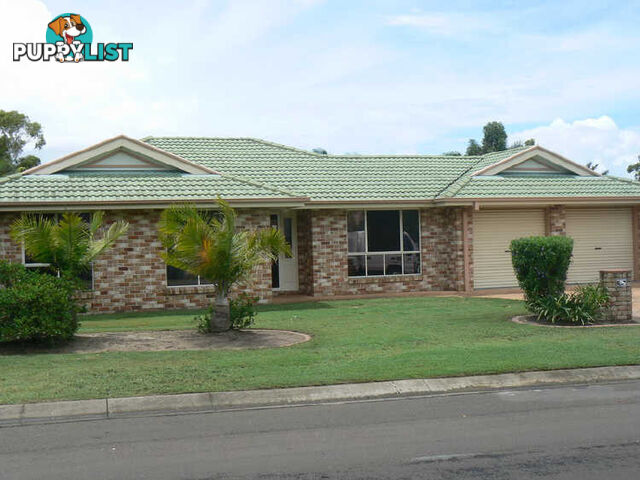 17 Banstead Street BIRKDALE QLD 4159