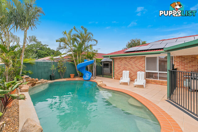 33 Seagull Street VICTORIA POINT QLD 4165