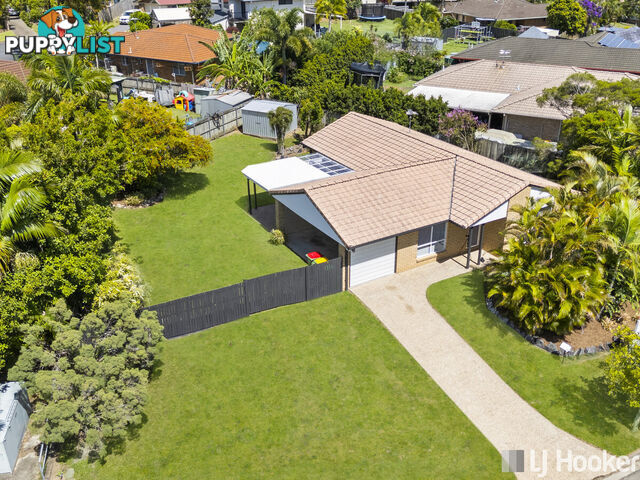 16 Sapphire Drive ALEXANDRA HILLS QLD 4161