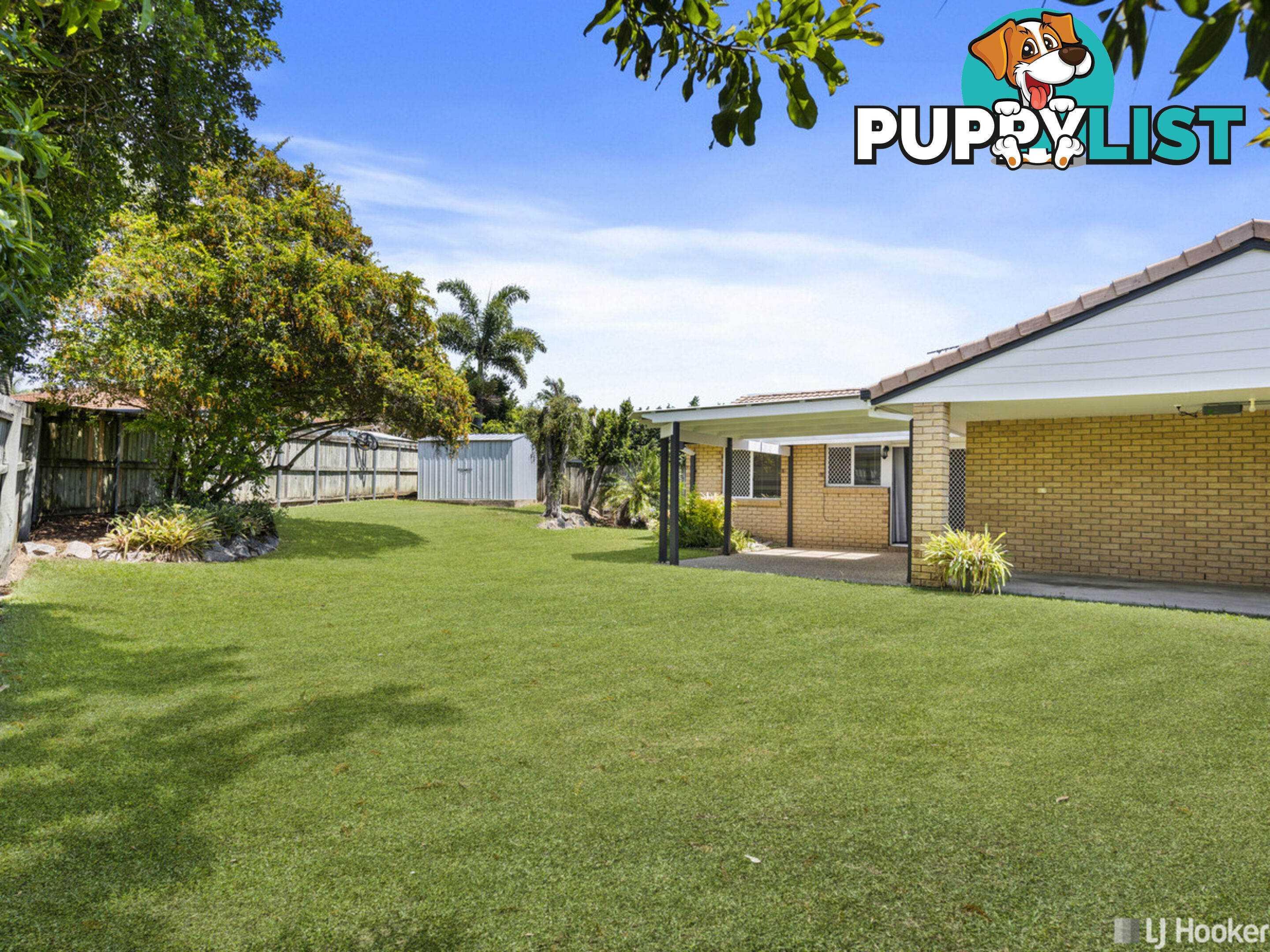 16 Sapphire Drive ALEXANDRA HILLS QLD 4161