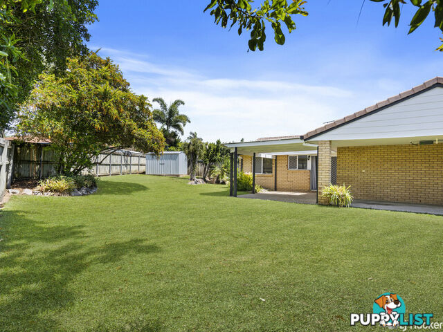 16 Sapphire Drive ALEXANDRA HILLS QLD 4161