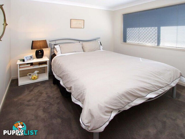 1 Lotus Close THORNLANDS QLD 4164