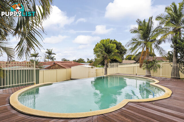 22 Spurs Drive WELLINGTON POINT QLD 4160