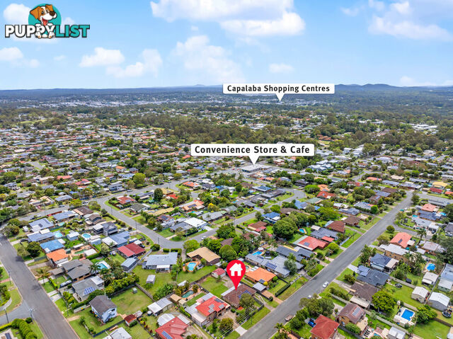 25 Fullerton Street BIRKDALE QLD 4159