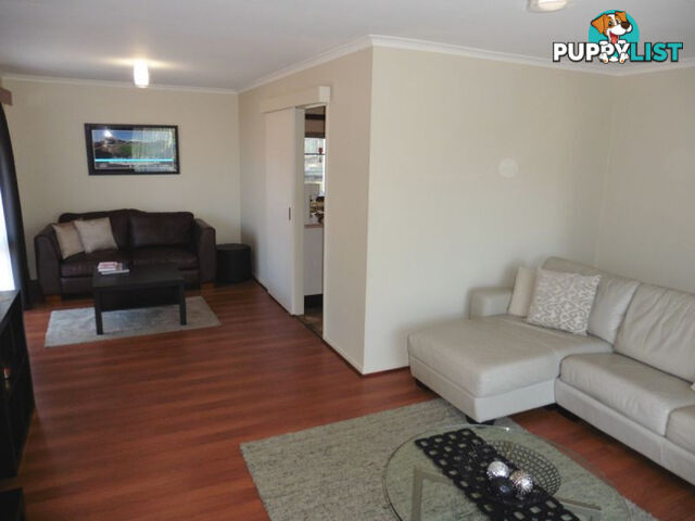 20 Plymstock Street ALEXANDRA HILLS QLD 4161