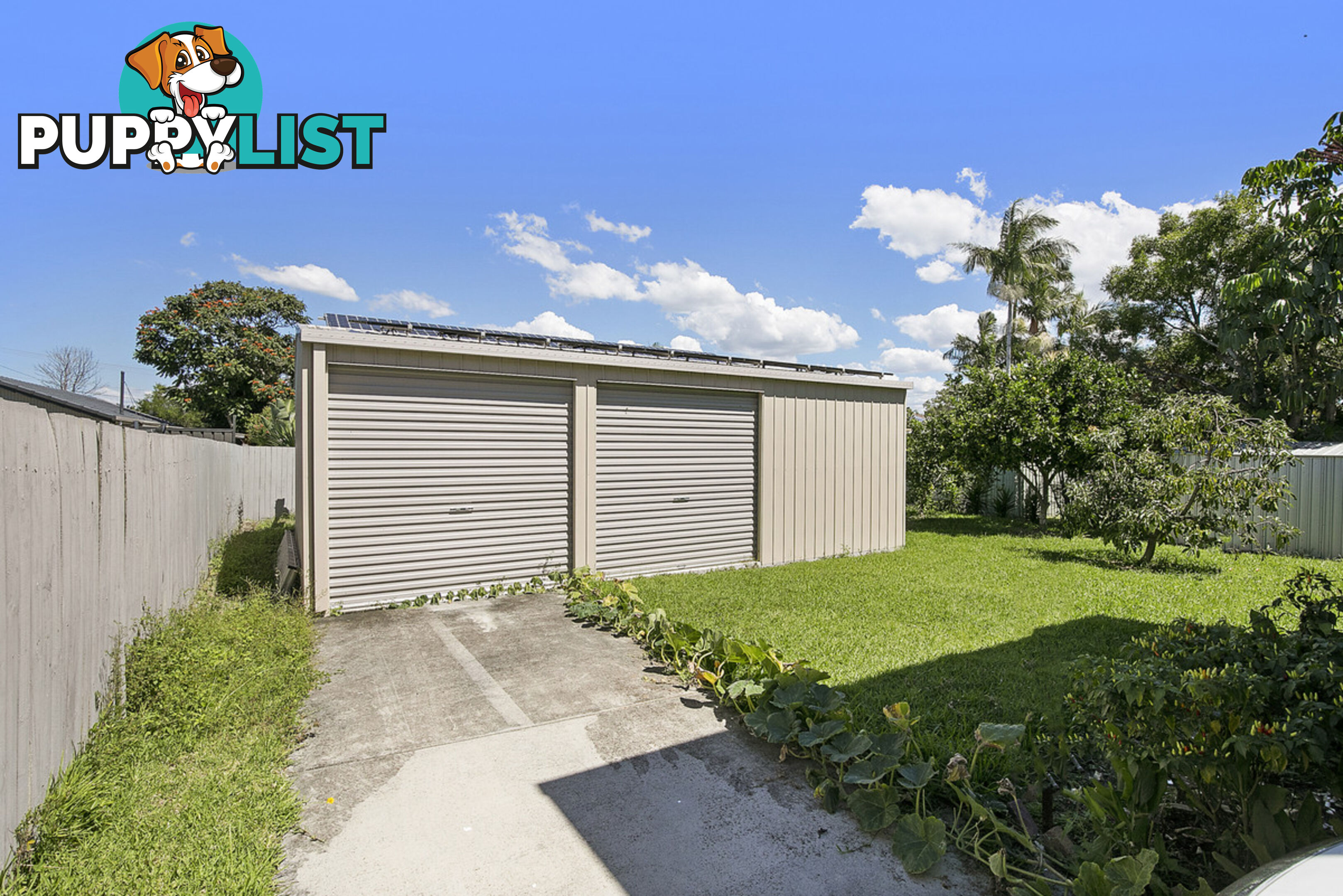 5 Bluebell Street ALEXANDRA HILLS QLD 4161