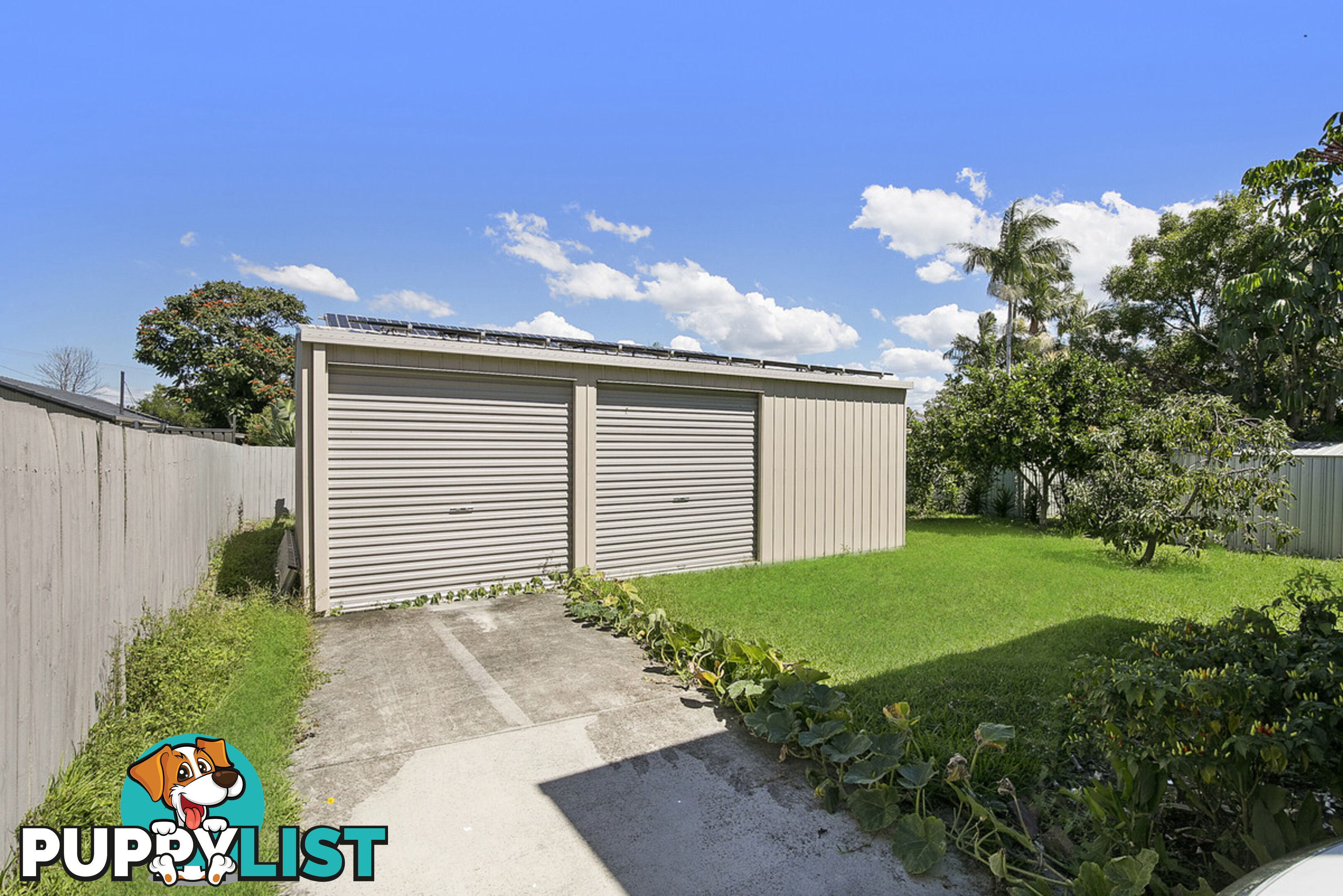 5 Bluebell Street ALEXANDRA HILLS QLD 4161