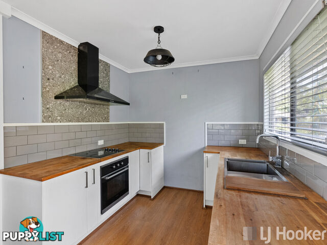 294 Finucane Road ALEXANDRA HILLS QLD 4161