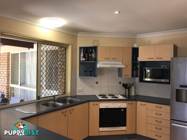 16 Albert Street ORMISTON QLD 4160