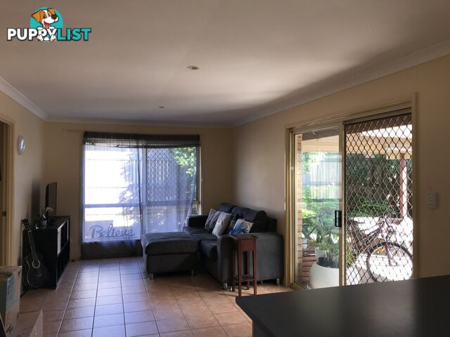 16 Albert Street ORMISTON QLD 4160