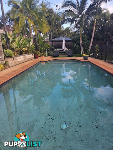 30 Amelia Place CLEVELAND QLD 4163