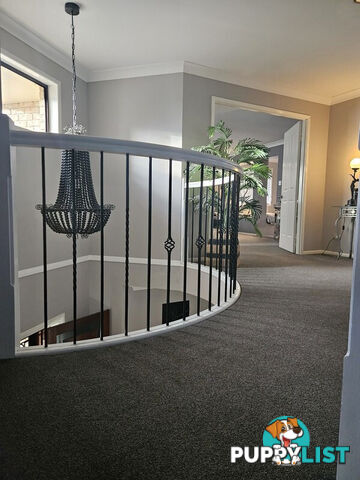 30 Amelia Place CLEVELAND QLD 4163