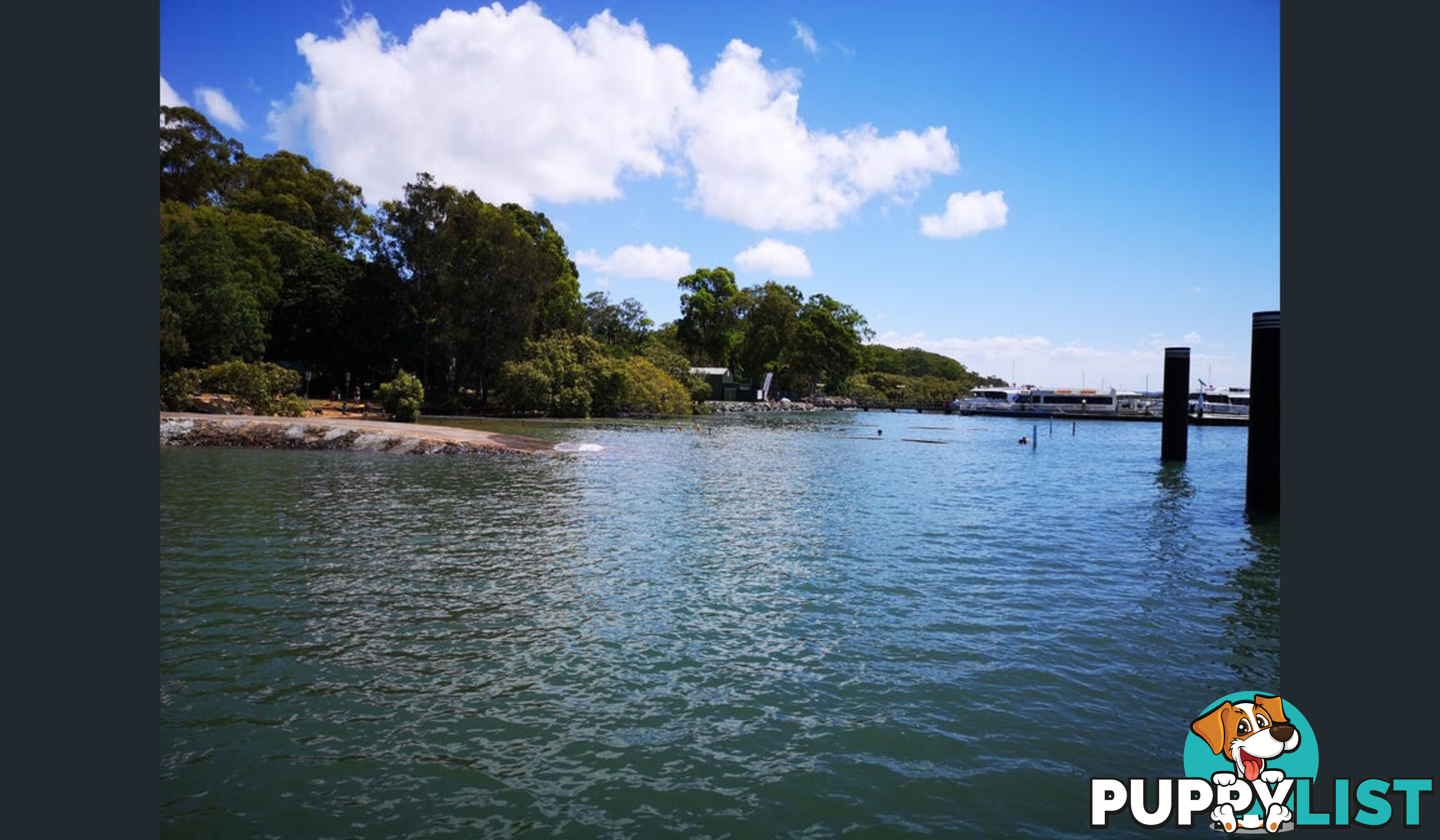 158 Canaipa Point Drive RUSSELL ISLAND QLD 4184