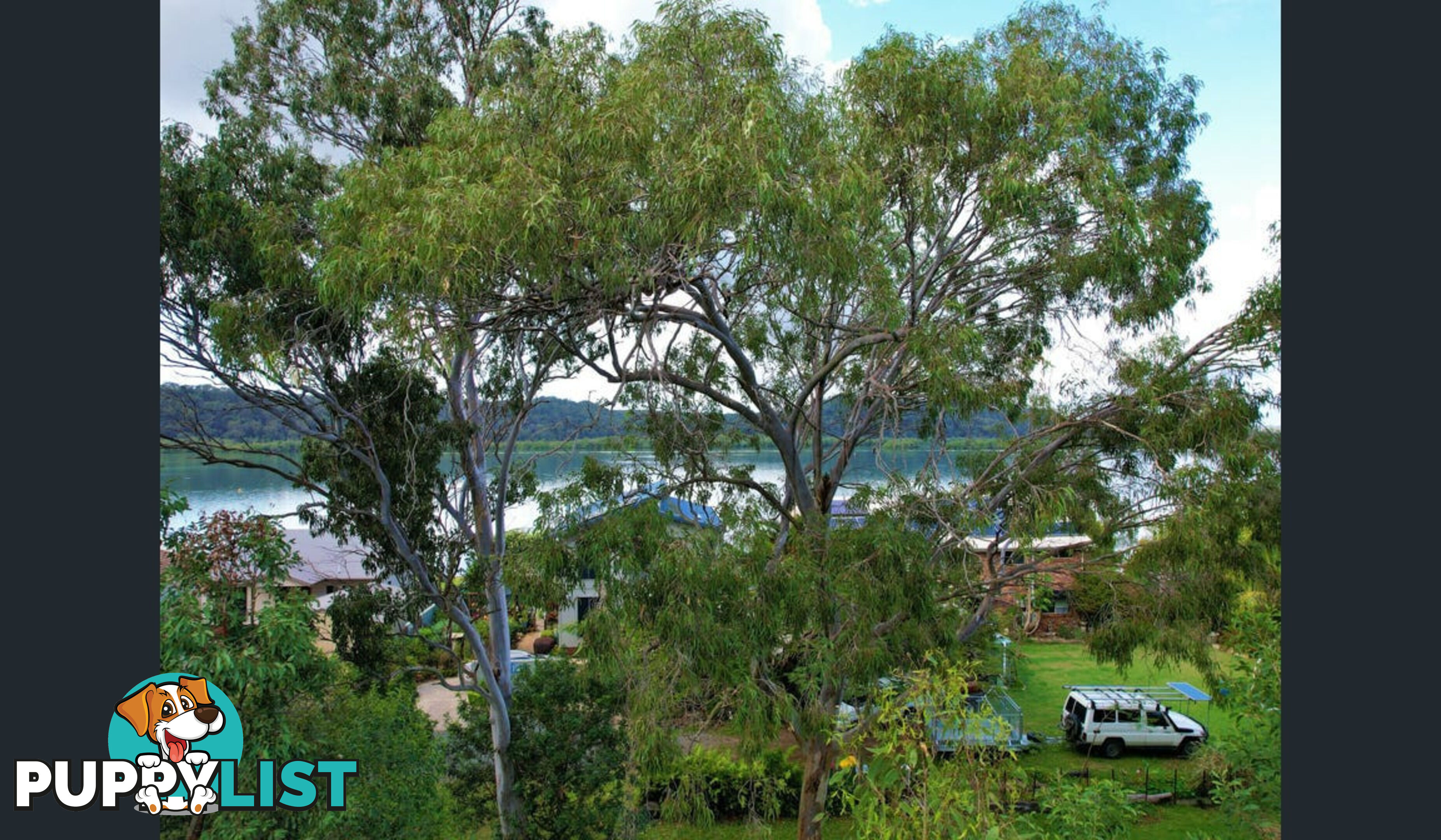 158 Canaipa Point Drive RUSSELL ISLAND QLD 4184