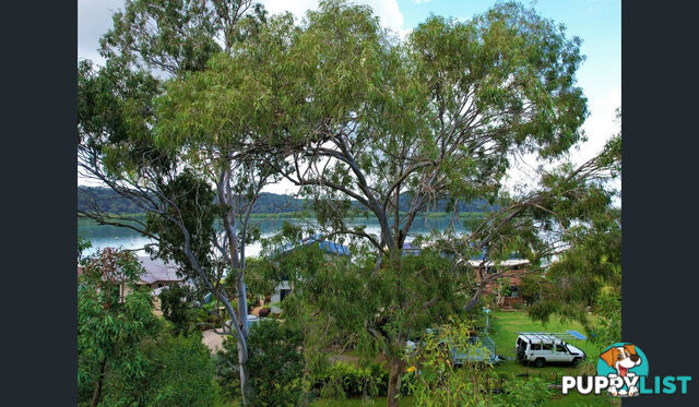 158 Canaipa Point Drive RUSSELL ISLAND QLD 4184