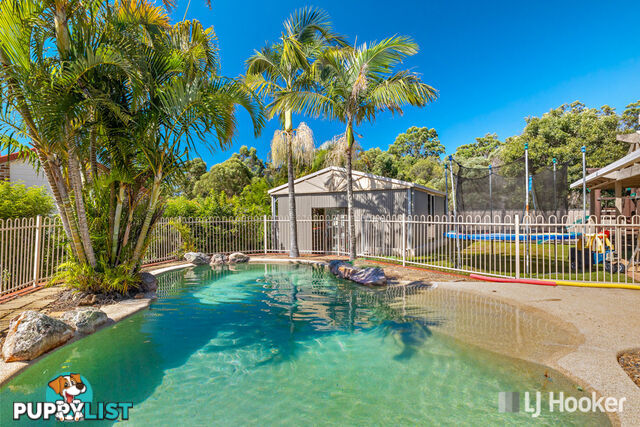 1 Sophia Place ALEXANDRA HILLS QLD 4161