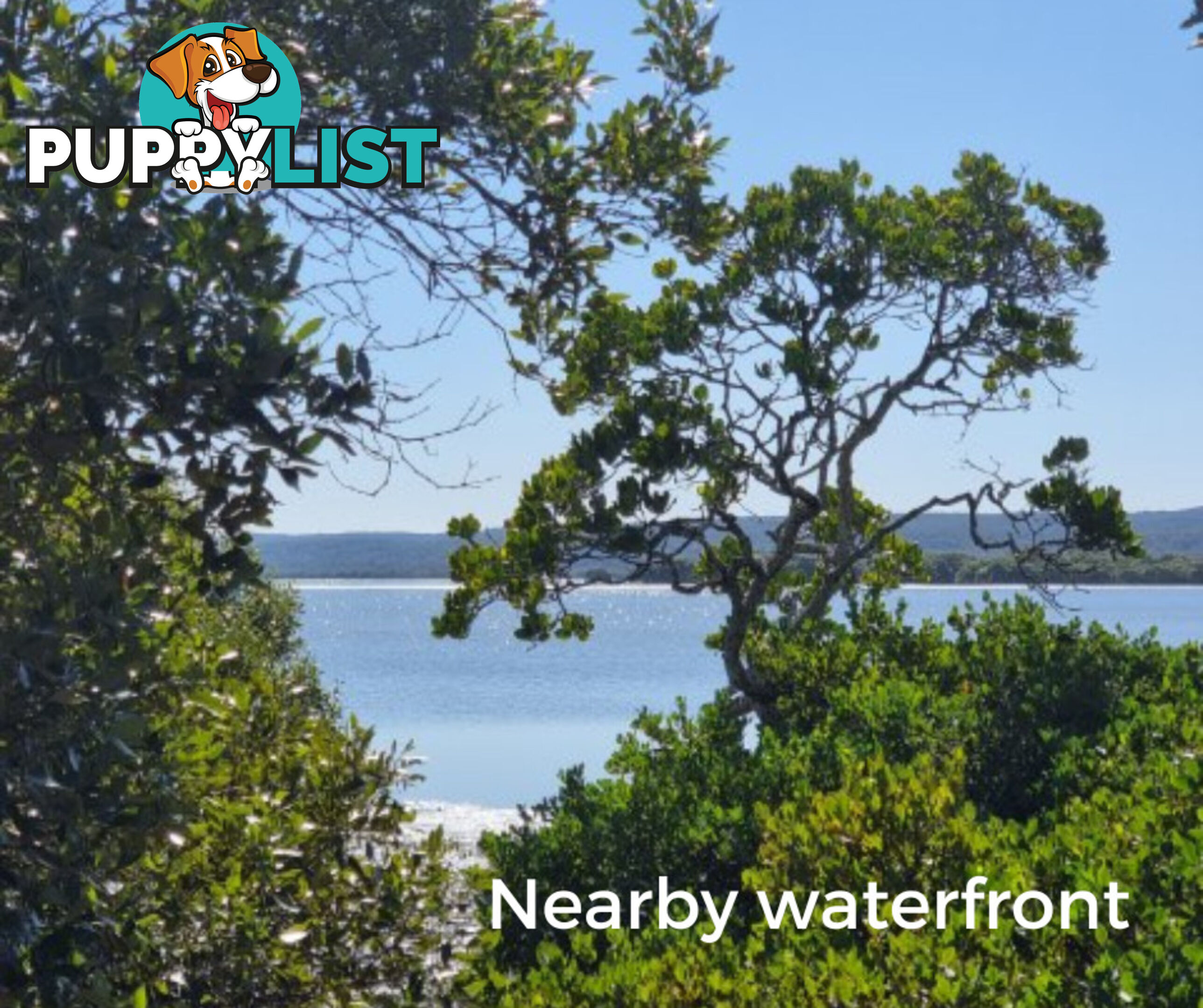 7 Michel Street RUSSELL ISLAND QLD 4184