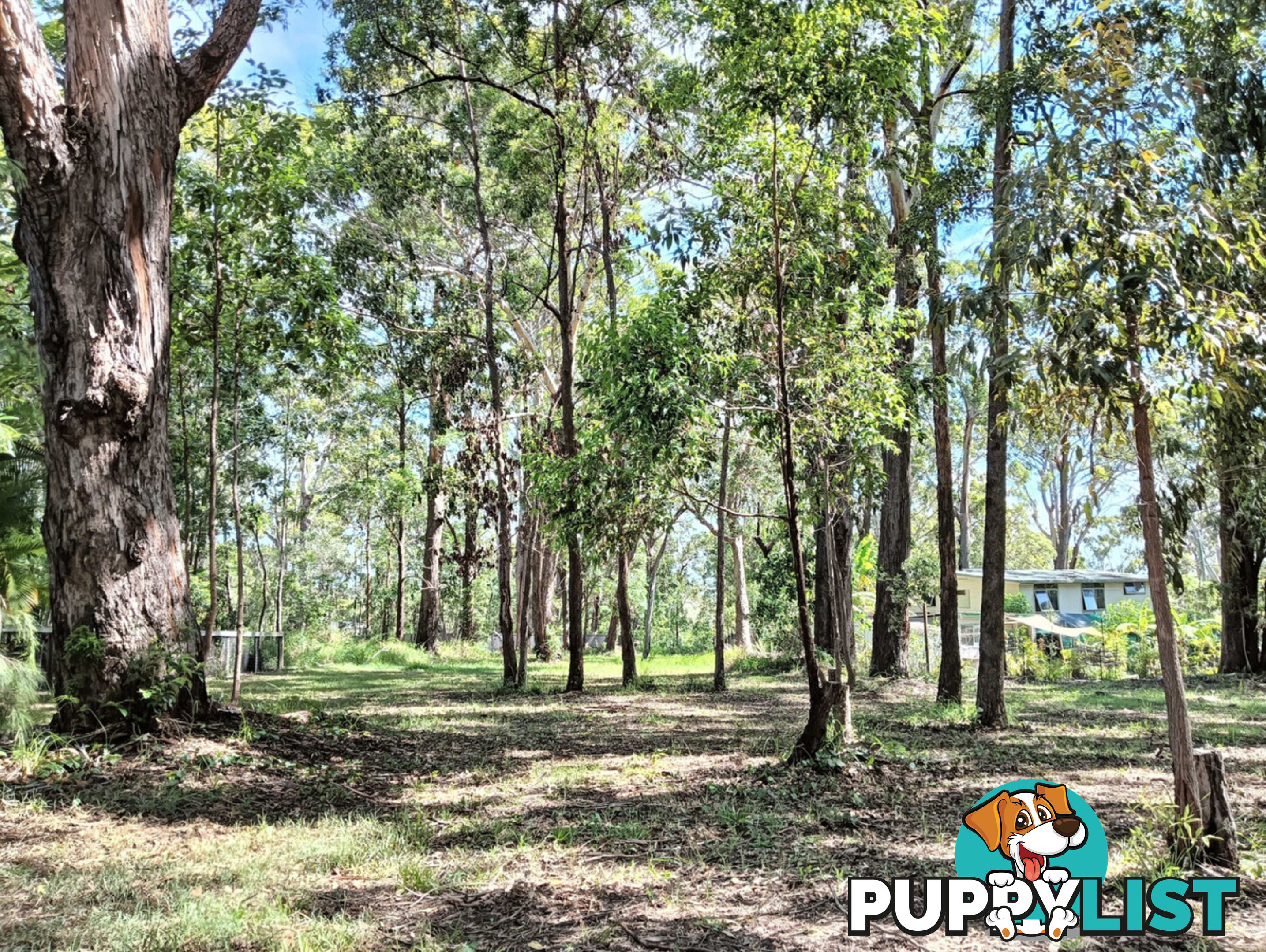 34 Ilumba Street RUSSELL ISLAND QLD 4184