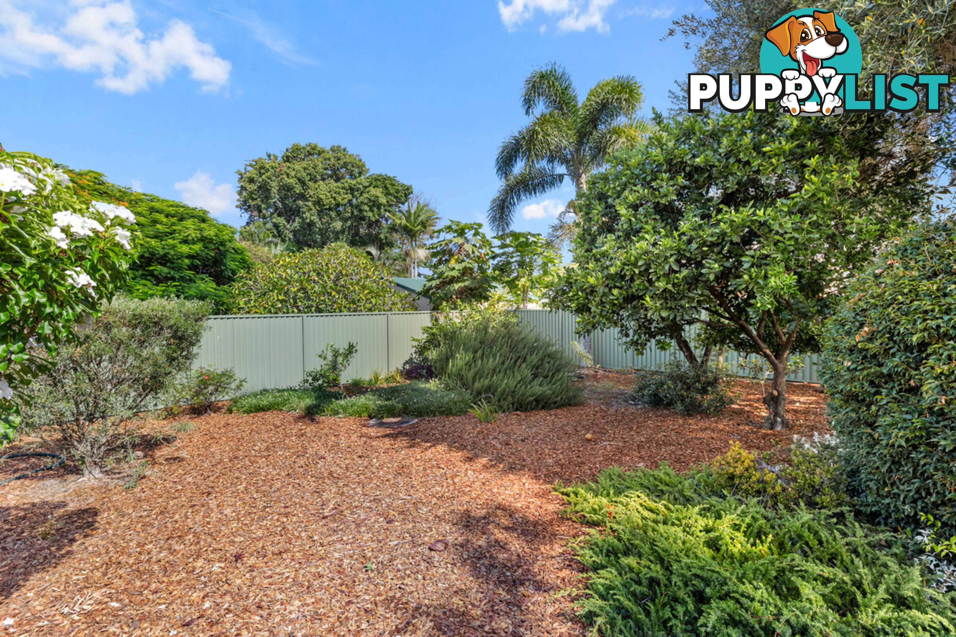 39 Warner Street WELLINGTON POINT QLD 4160