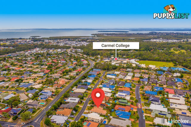 5 Lidgard Street THORNLANDS QLD 4164