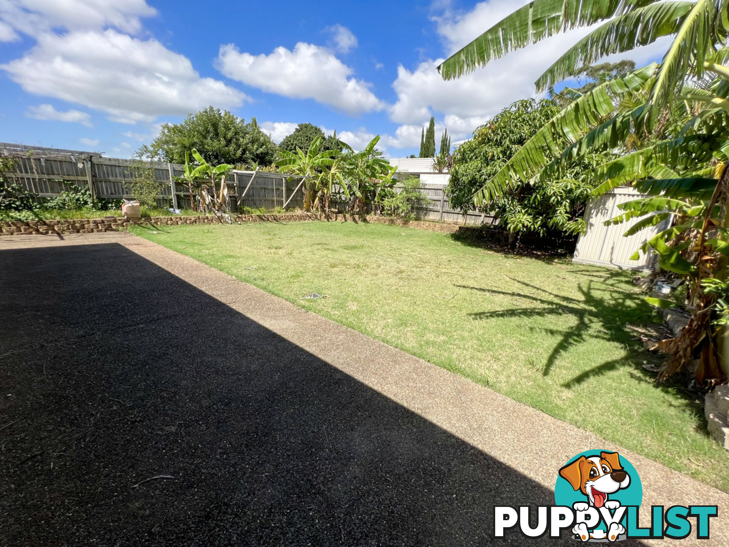 15 Arctic Street THORNLANDS QLD 4164