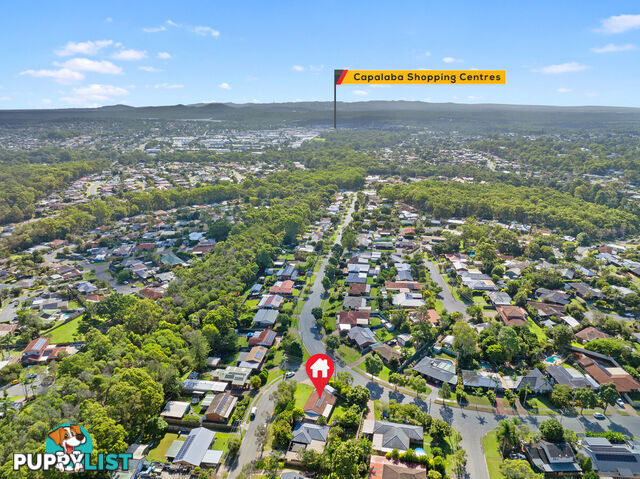 13 Ravensworth Place ALEXANDRA HILLS QLD 4161