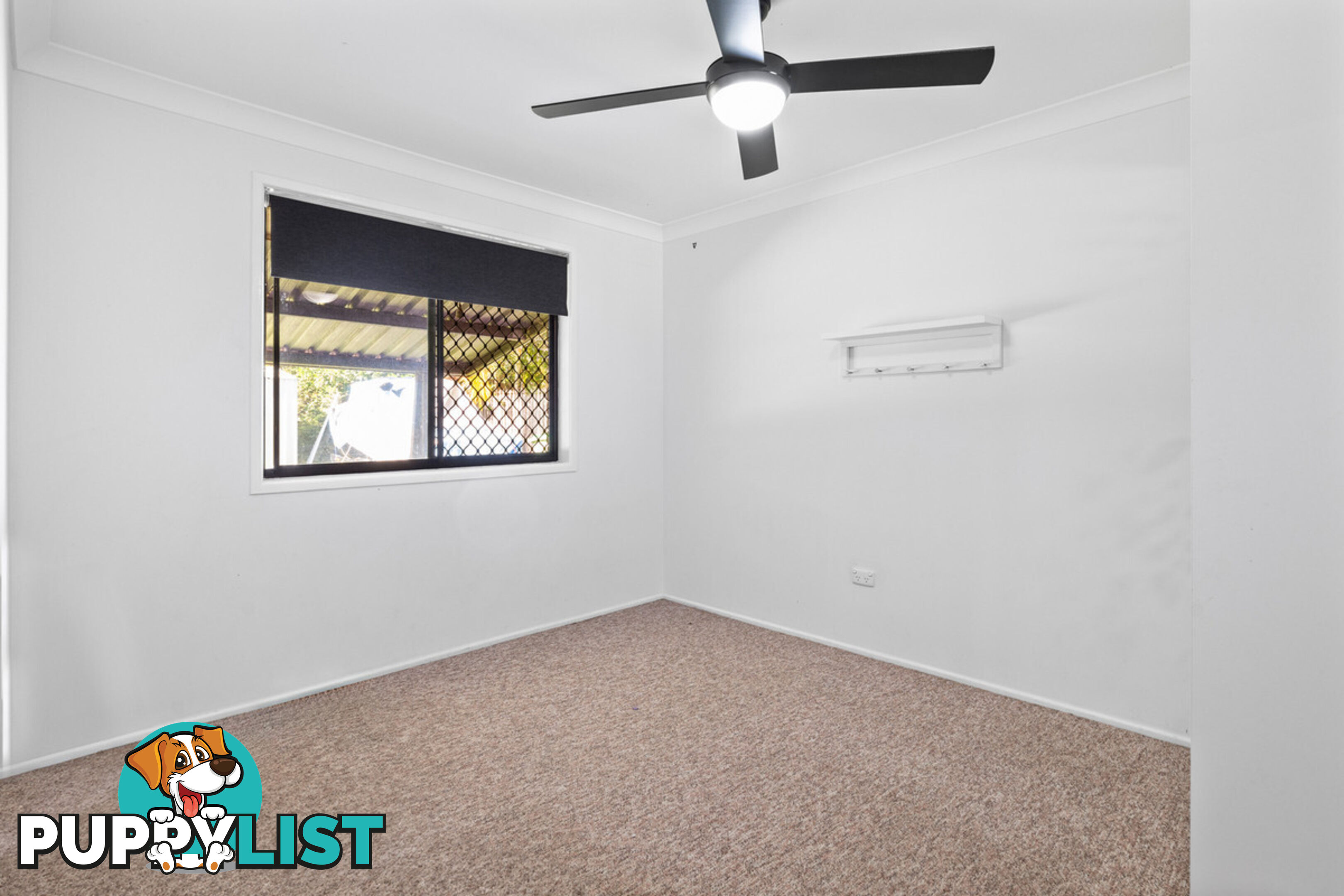 13 Ravensworth Place ALEXANDRA HILLS QLD 4161