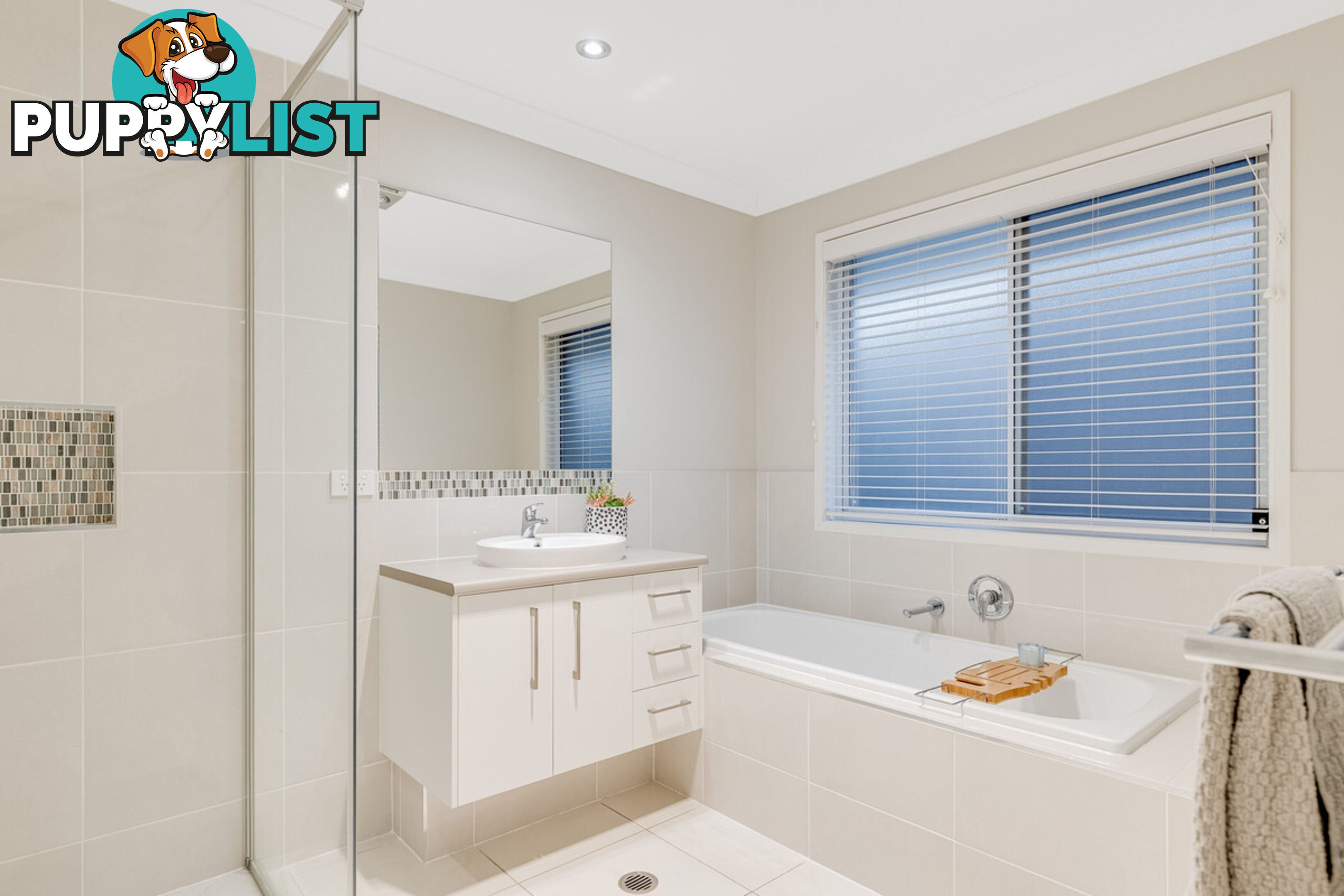 28 Vedson Street BIRKDALE QLD 4159