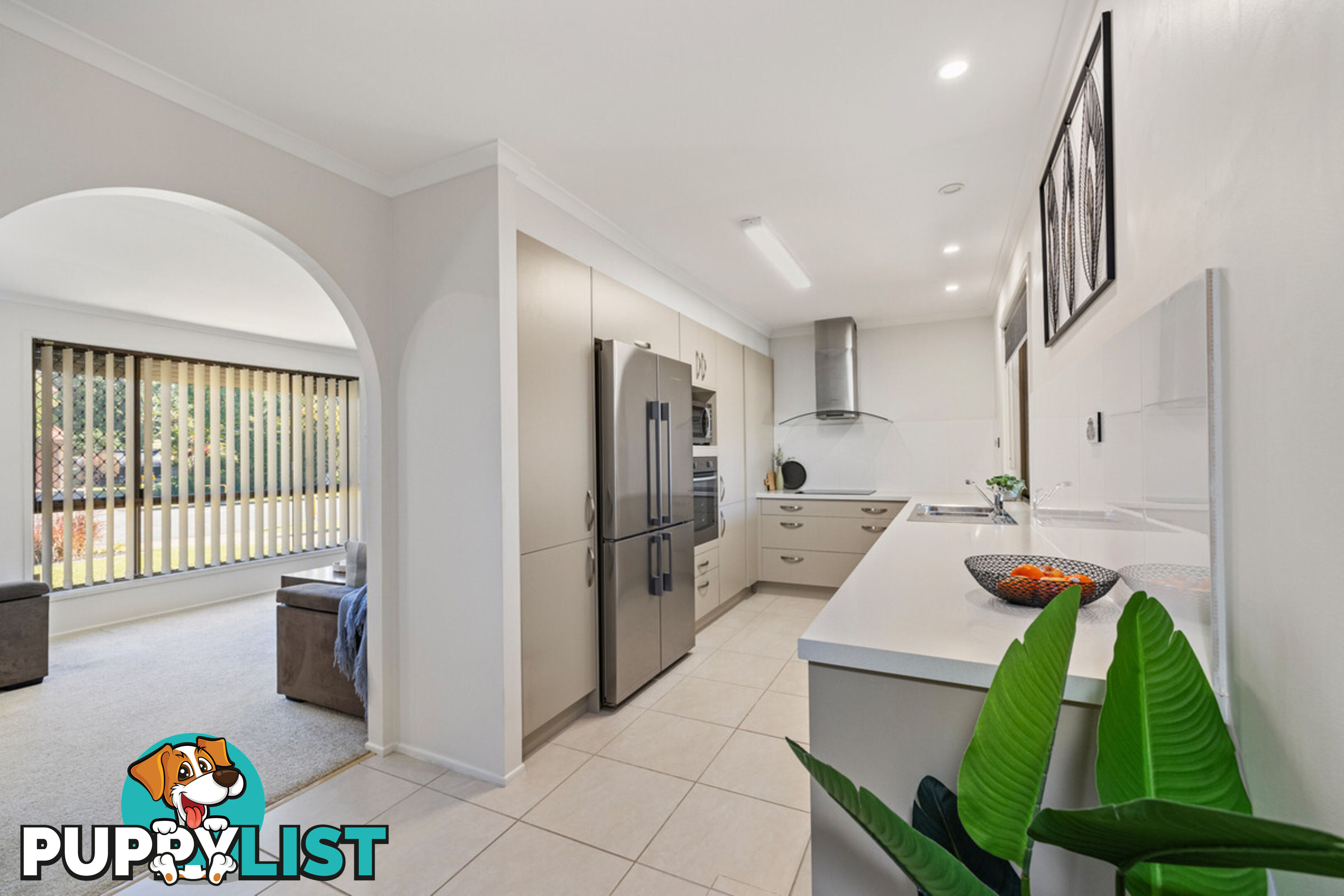 55 Agnes Street BIRKDALE QLD 4159