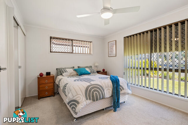 55 Agnes Street BIRKDALE QLD 4159