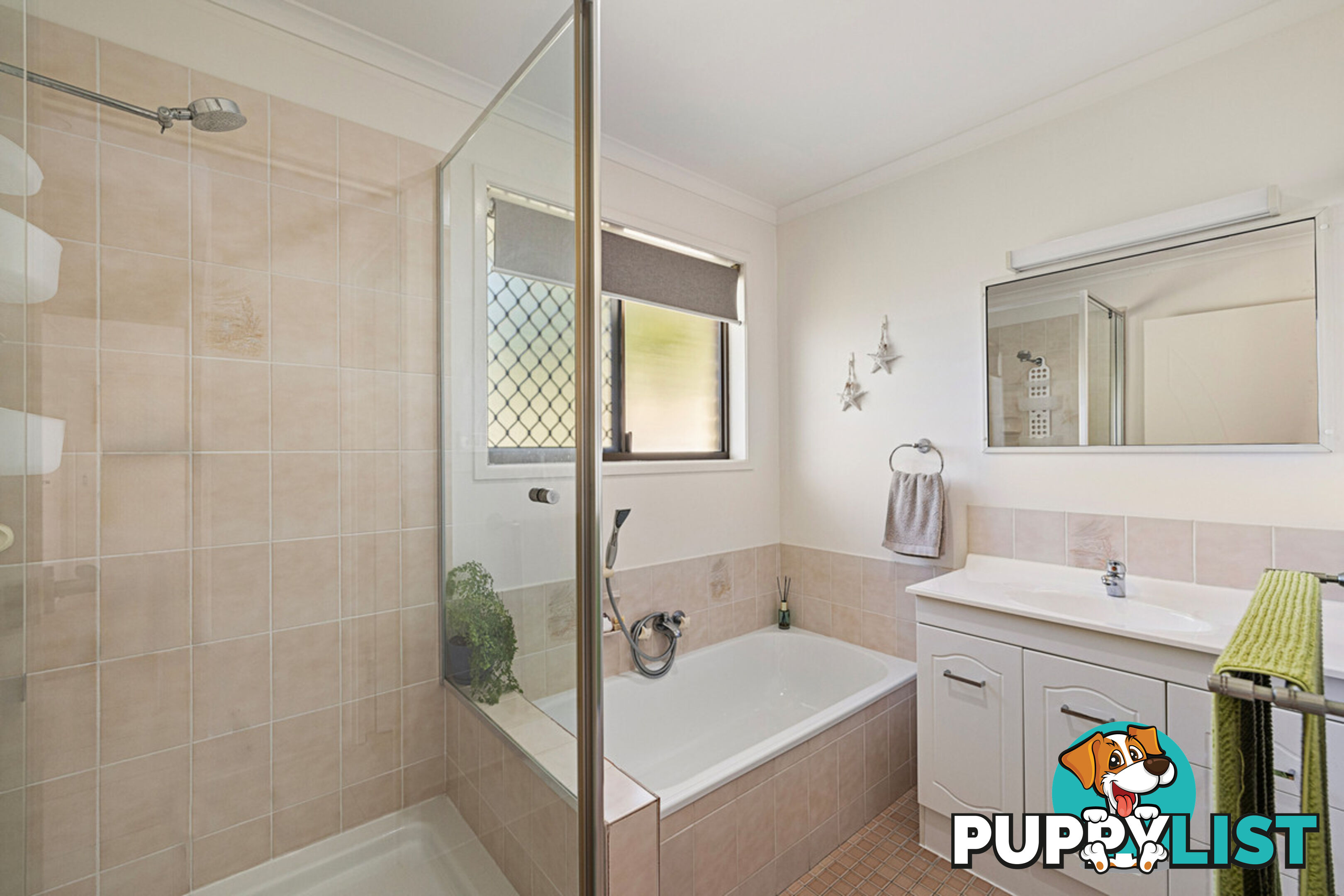 55 Agnes Street BIRKDALE QLD 4159