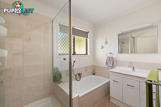 55 Agnes Street BIRKDALE QLD 4159