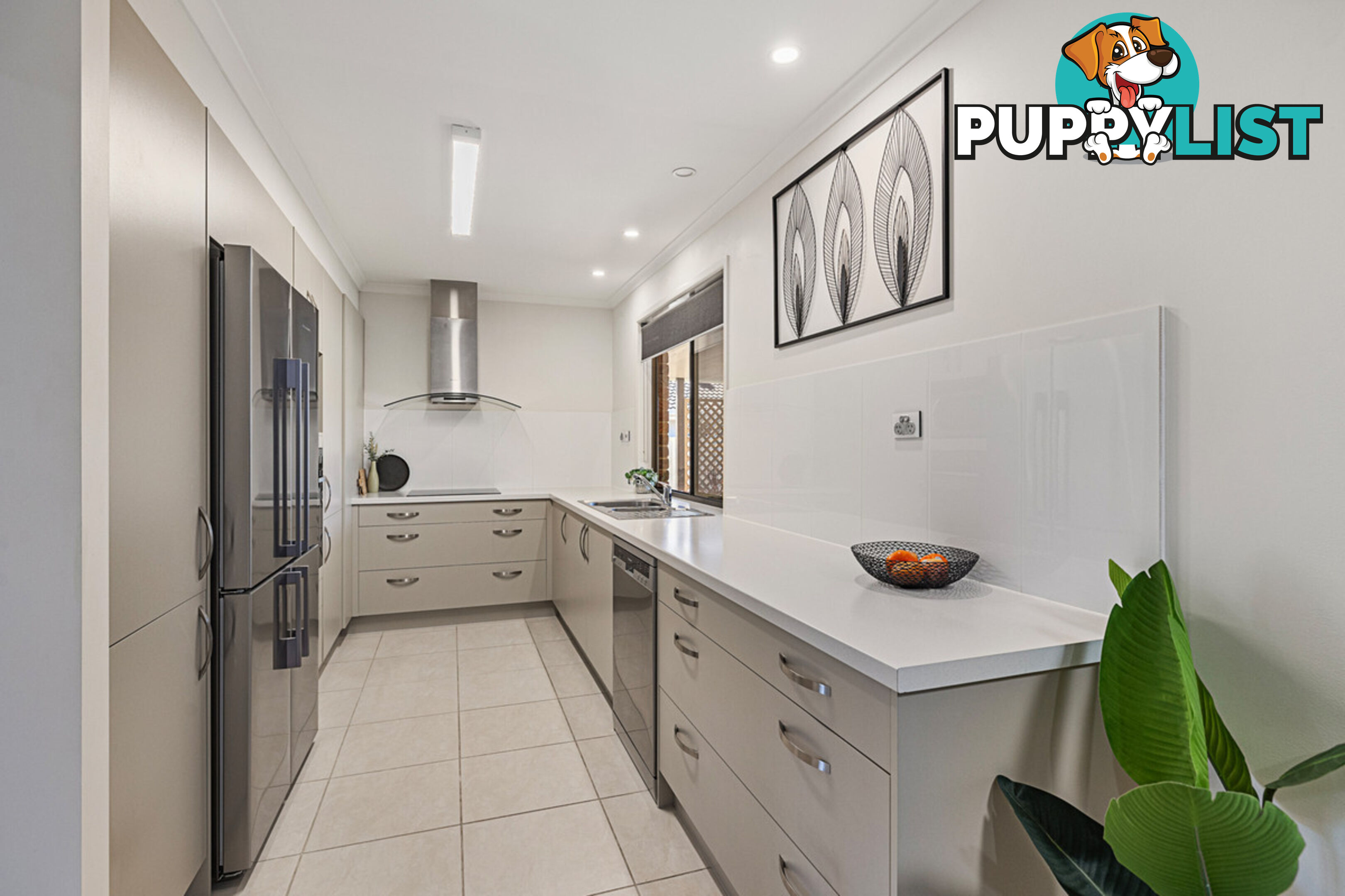 55 Agnes Street BIRKDALE QLD 4159
