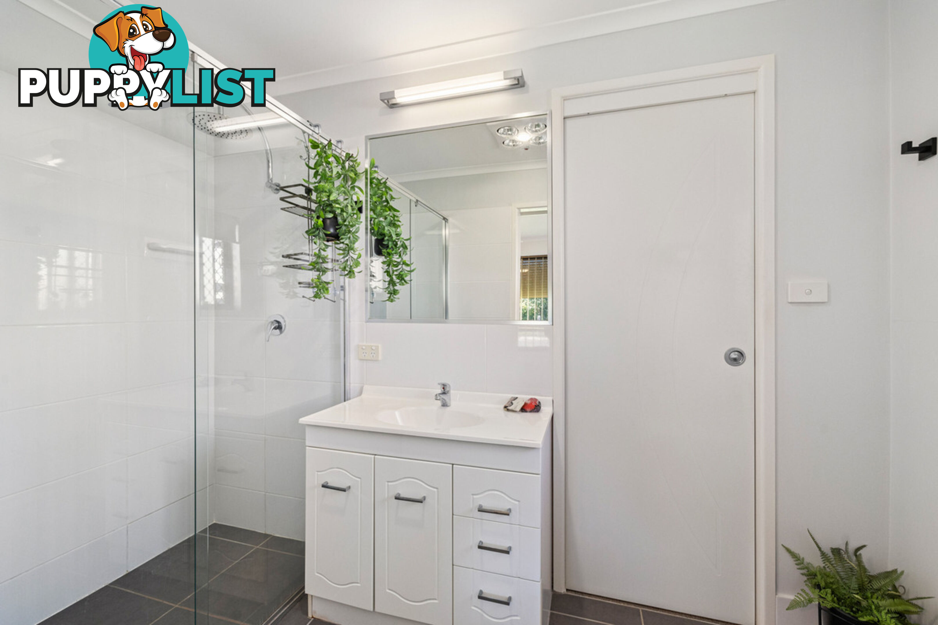 55 Agnes Street BIRKDALE QLD 4159