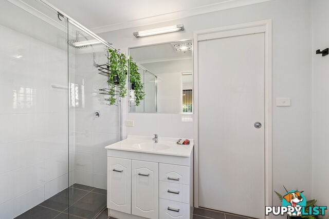 55 Agnes Street BIRKDALE QLD 4159