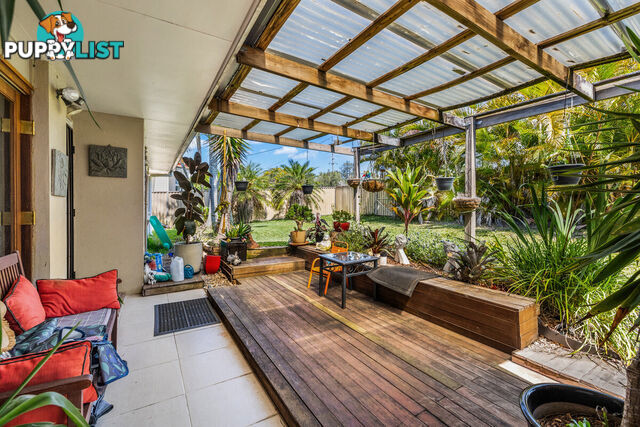 278 Finucane Road ALEXANDRA HILLS QLD 4161