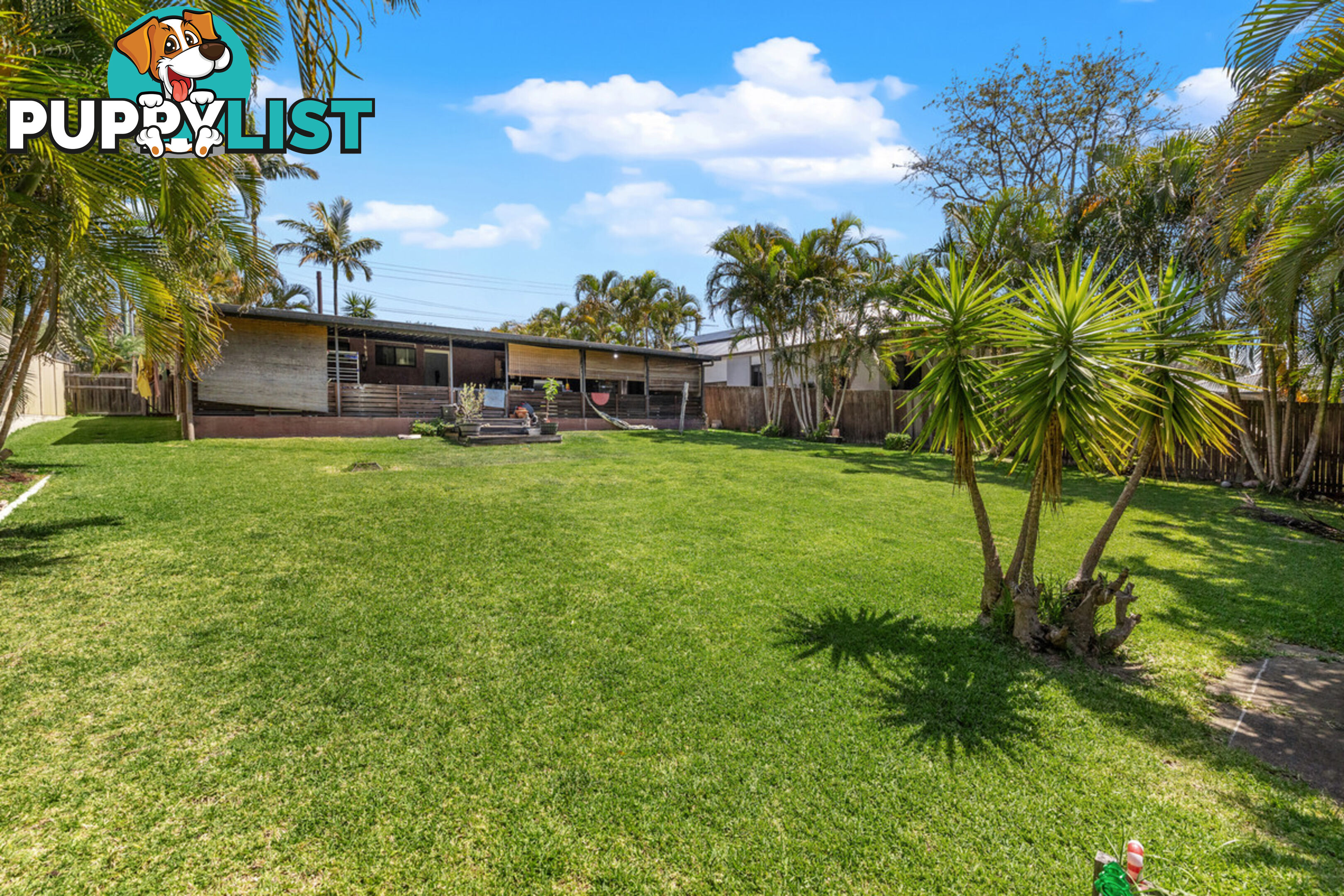 278 Finucane Road ALEXANDRA HILLS QLD 4161