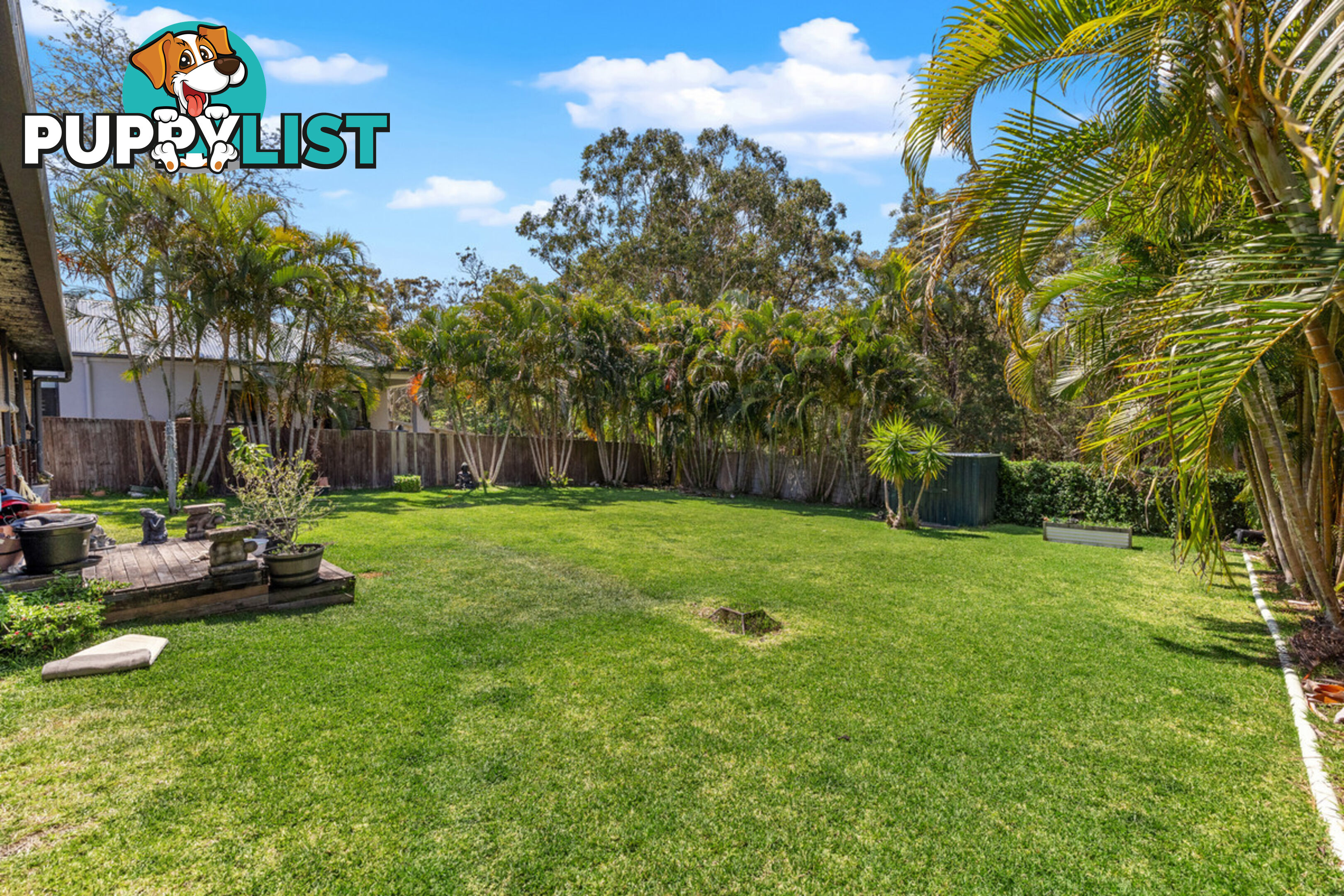 278 Finucane Road ALEXANDRA HILLS QLD 4161